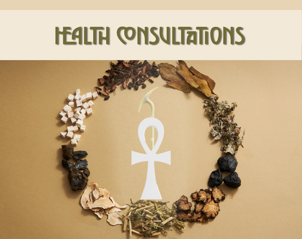 Khemenu-Rekh health consultations